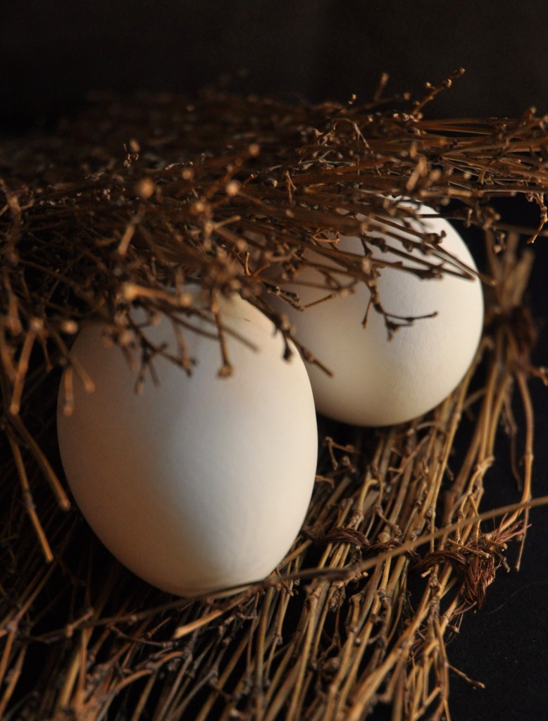 goose eggs