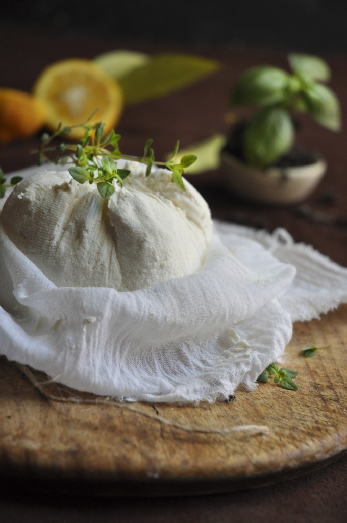ricotta