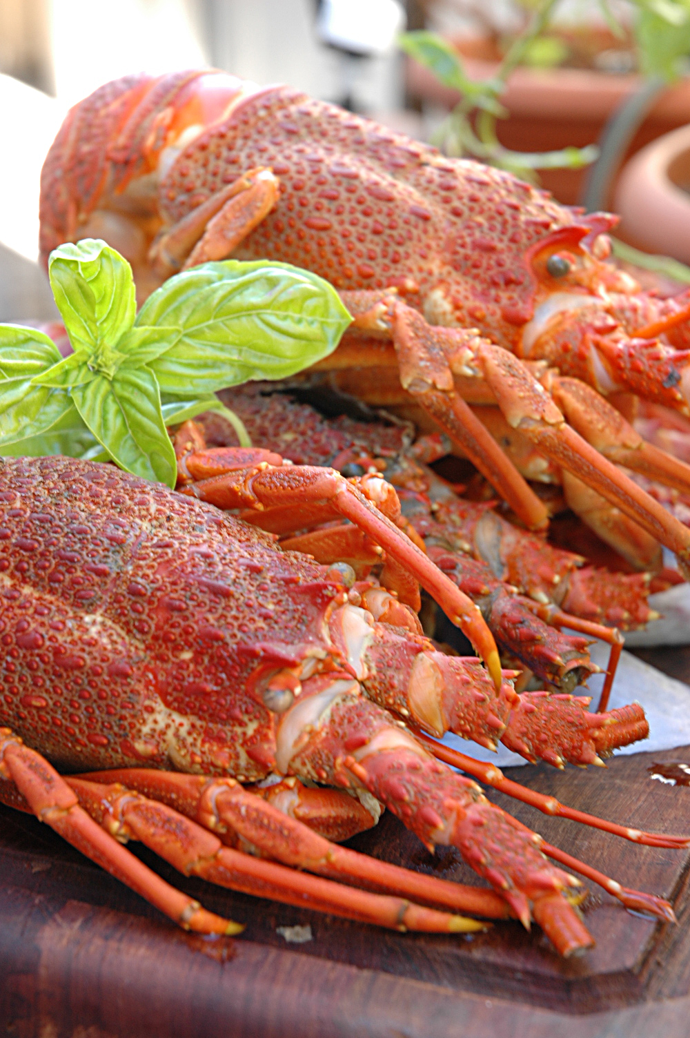 Lobster Crayfish Or Kreef Delicious And Easy To Prepare It