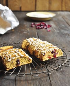Pumpkin Cranberry Biscotti 