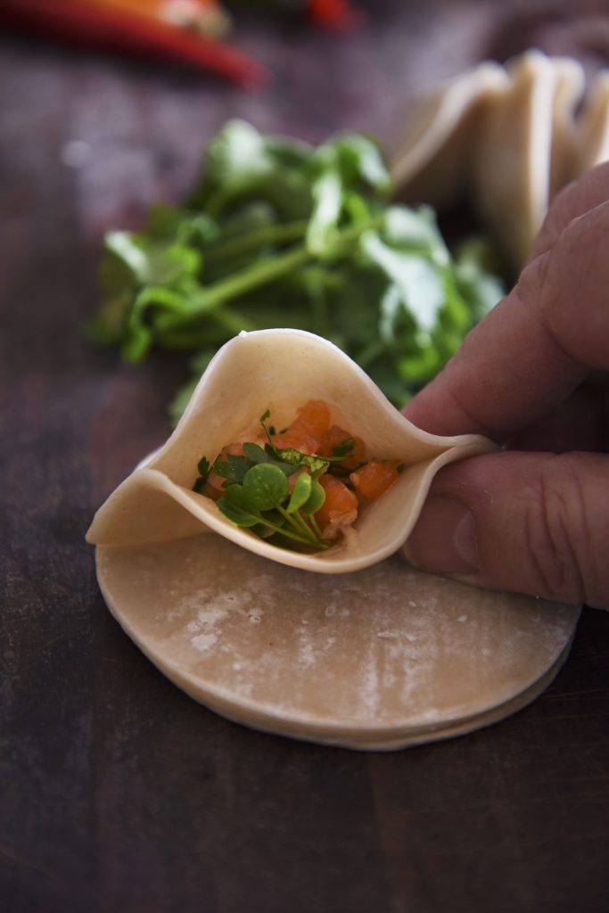 Potstickers 